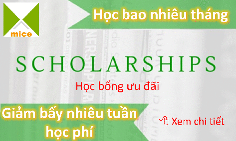 MICE Hoc bao nhieu thang Giam bay nhieu tuan hoc phi