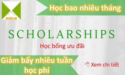 MICE Hoc bao nhieu thang Giam bay nhieu tuan hoc phi