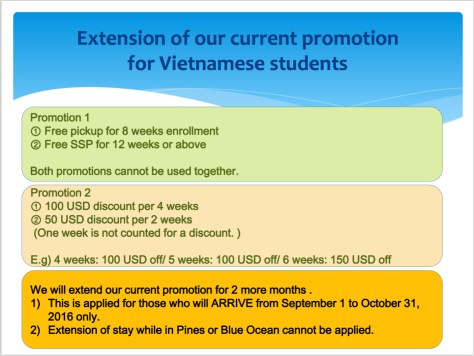 Promotion Pines 31:08 - 1