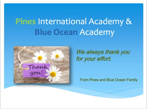 promotion Pines 31:08