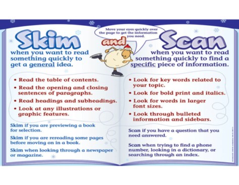 skim & Scan