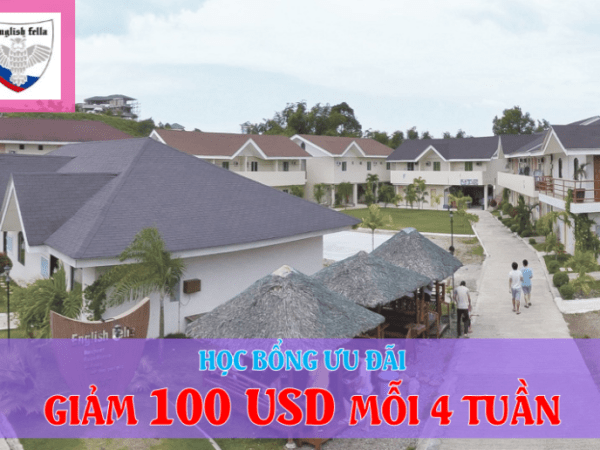 Trường Fella: học bổng ưu đãi giảm 100 USD/ 4 tuần