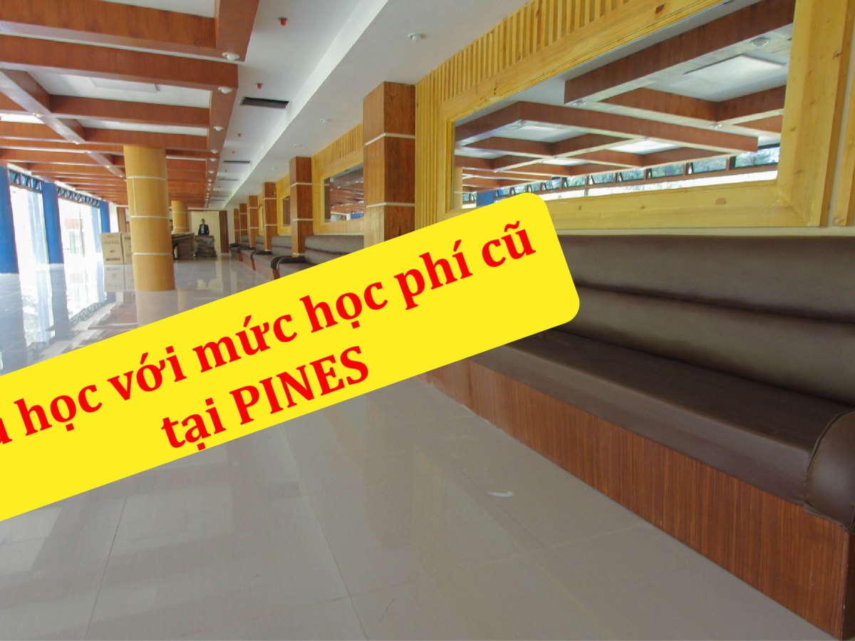Trường Anh ngữ PINES – Thành phố Baguio thông báo tăng học phí từ năm 2020